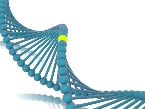 基因在DNA。