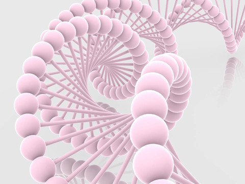 基因在DNA