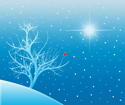 星光下的雪樹(shù)