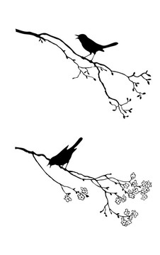 樹枝上鳥的剪影