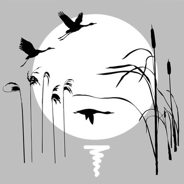鳥類背景下的鳥畫圖