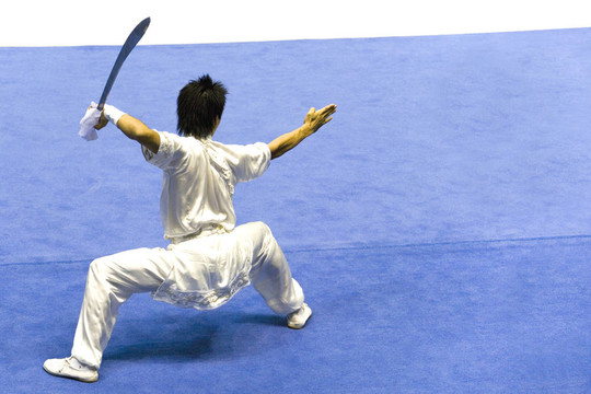 中國(guó)武術(shù)（武術(shù)）
