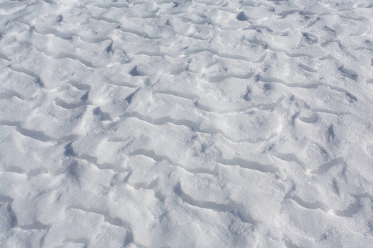 冰凍湖面上的積雪