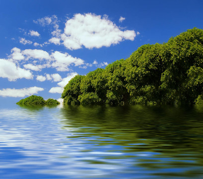美麗的夏日風景