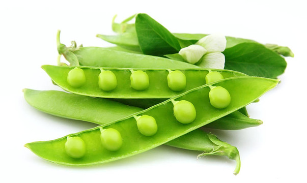 年輕的豌豆