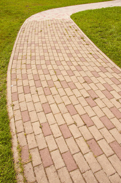 在公園里跟蹤