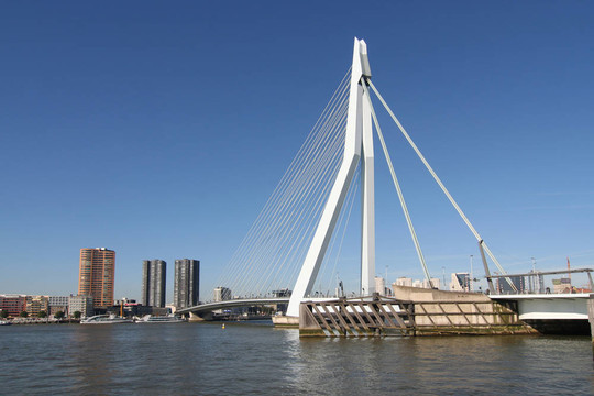在鹿特丹erasmusbridge
