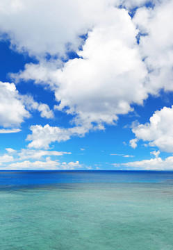 能和海