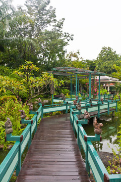 綠色公園中的木橋