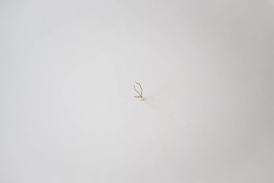 電纜在墻上