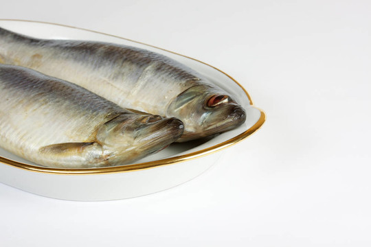 白色背景上腌制的鯡魚