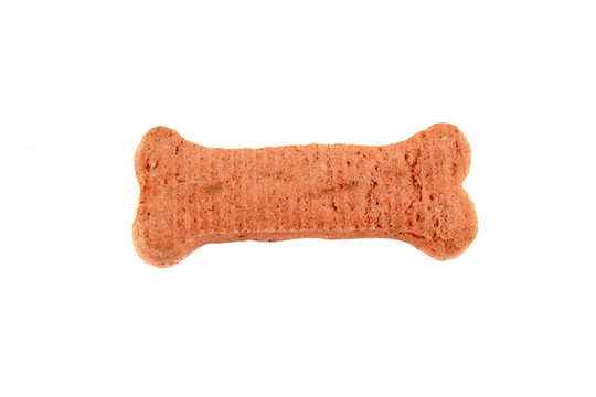 孤立的狗餅干