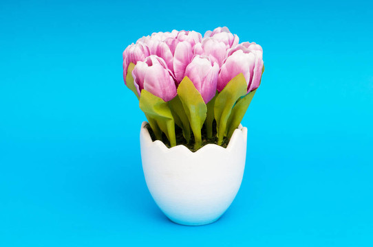 白色盆栽郁金香花