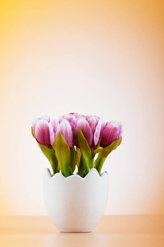 白色盆栽郁金香花