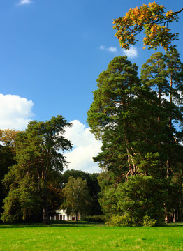 公園里的夏天結(jié)束了