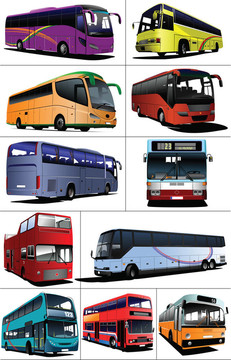十一種城市公交車。旅游