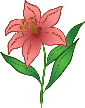 百合花