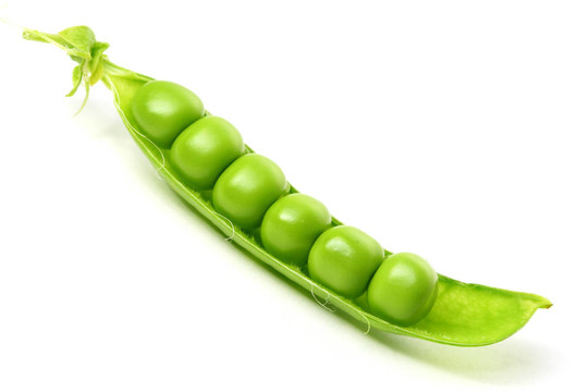 孤立的豌豆