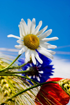 花
