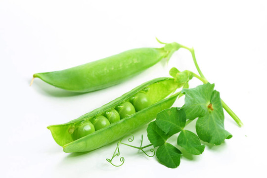 孤立的豌豆