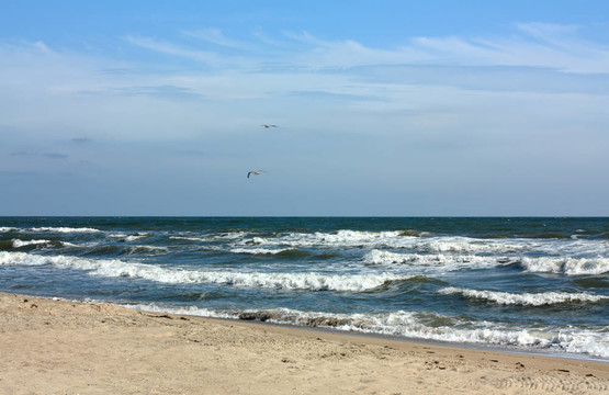 海岸