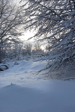 太陽；新鮮的空氣和大量的雪