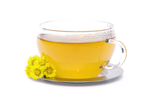 茶Coltsfoot 02