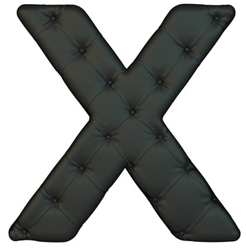 豪華黑色真皮字體X字母