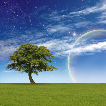 奇幻的風(fēng)景