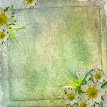 夏天的賀卡與框架和鮮花的節(jié)日