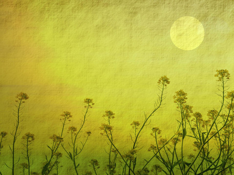 蹩腳的background.old紙油菜