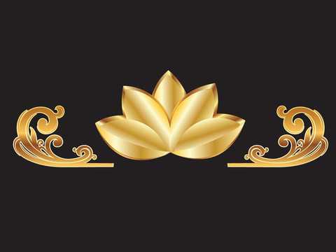 金蓮花