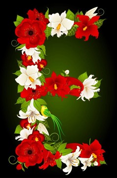 花簽信