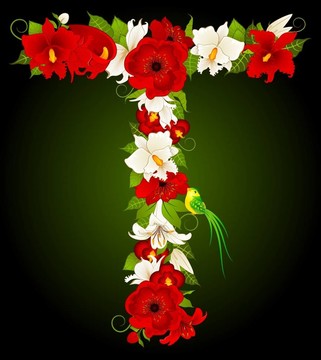 花簽信