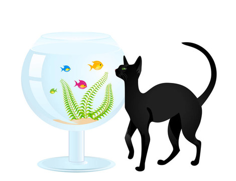 貓玩小魚