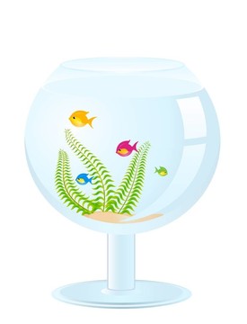 白色背景水族箱