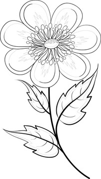 抽象花；輪廓