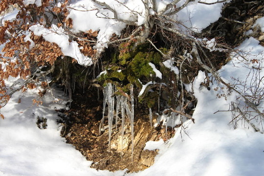 雪解凍