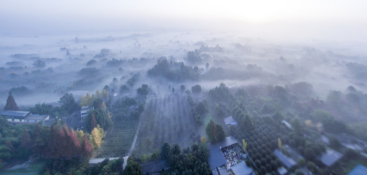 晨霧 全景圖