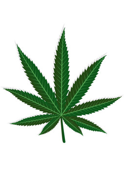 大麻葉