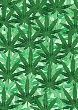 來自大麻葉子的背景