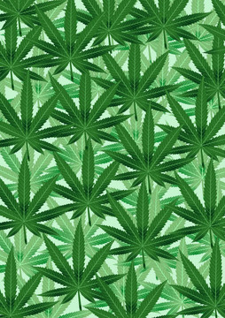 來自大麻葉子的背景