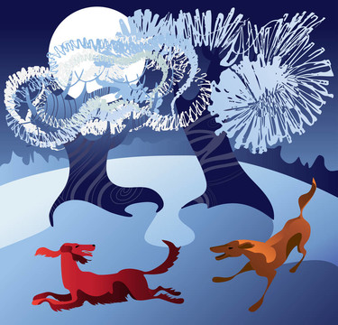 狗在雪地里玩耍