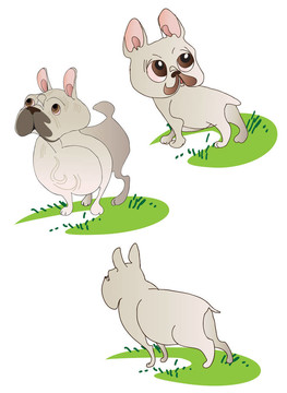 三圖紙的法國斗牛犬