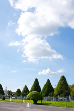 天空中的花園。