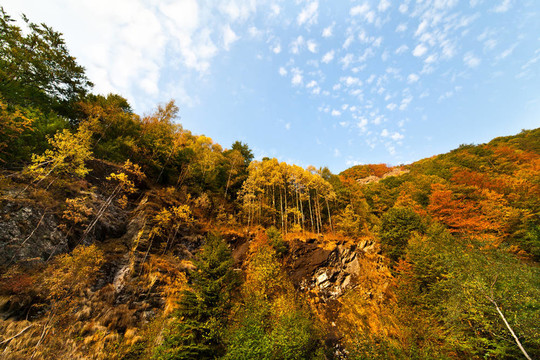 山地景觀