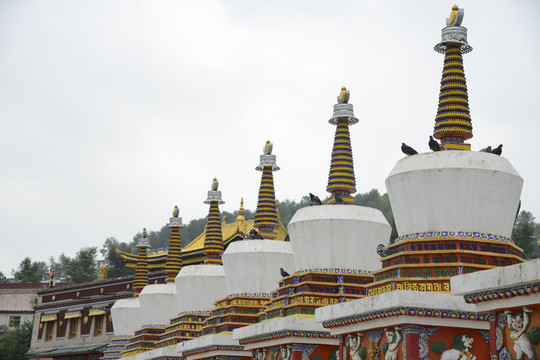 塔爾寺白塔