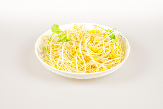 豆芽