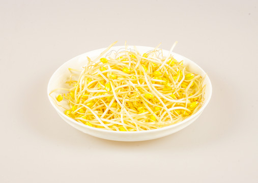 豆芽