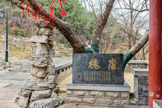 唐槐
